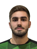 Matija Petreković